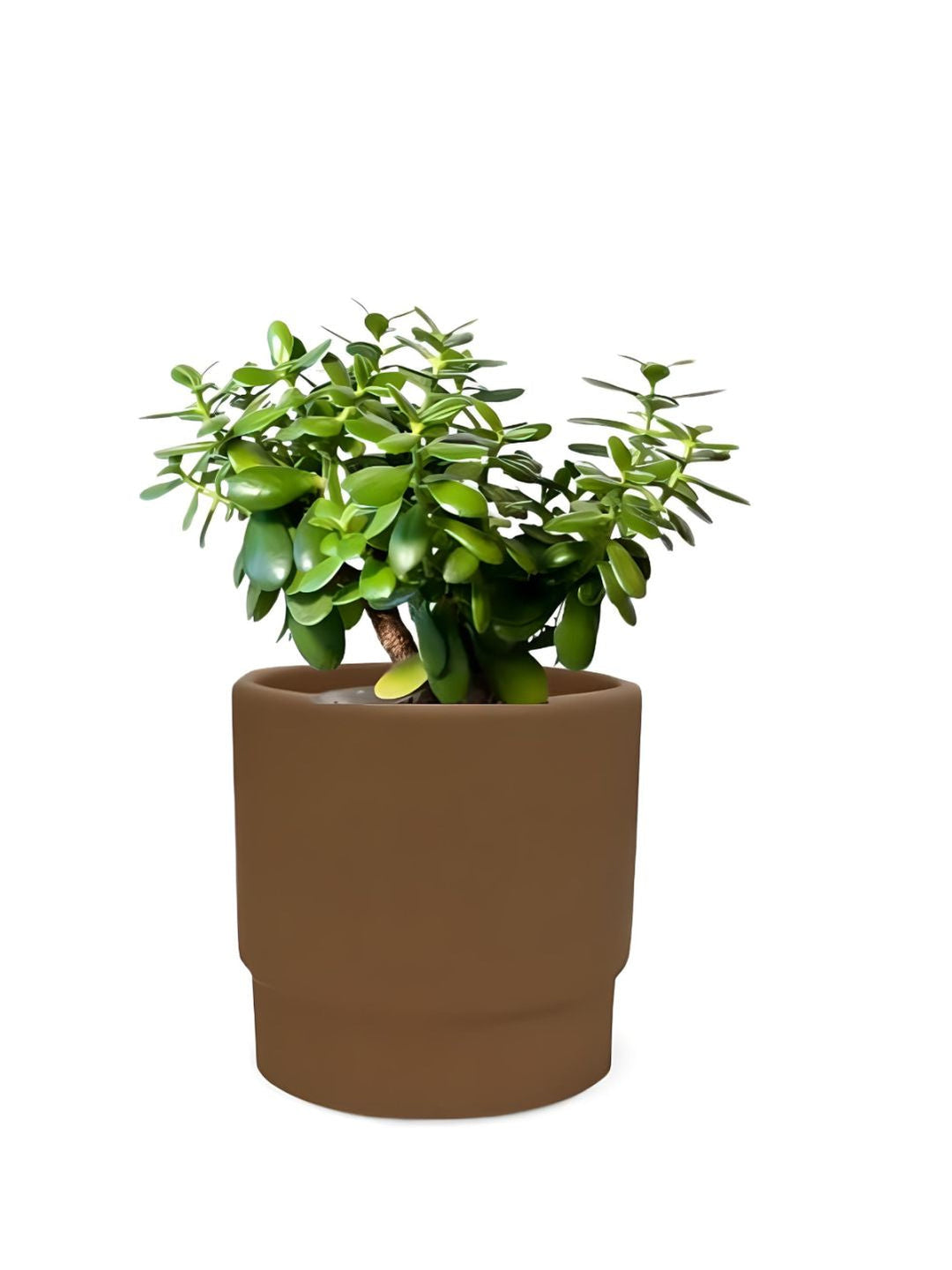 Planter