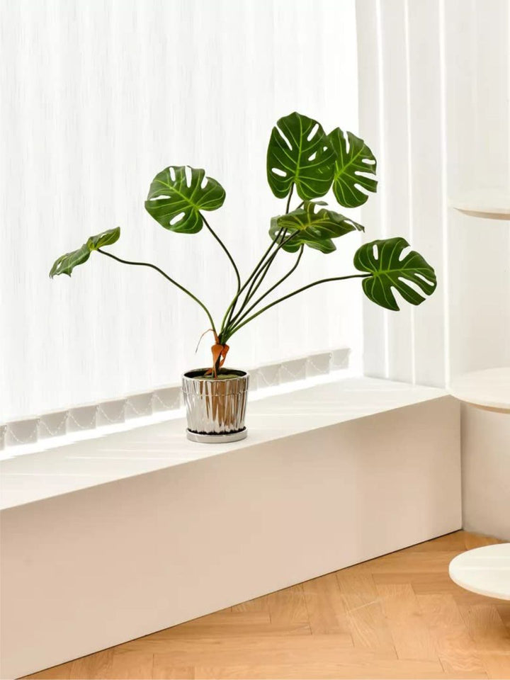 Planter