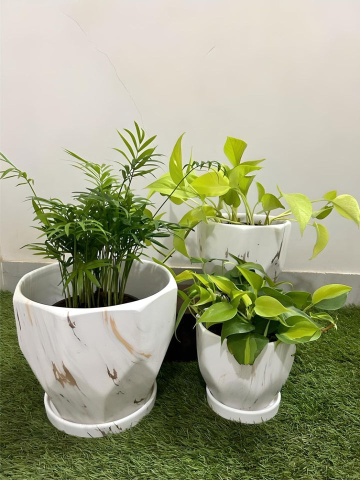 Planter