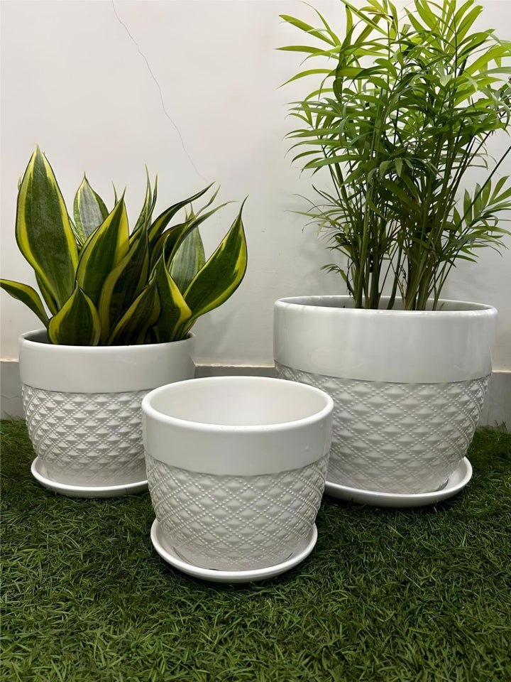 Planter