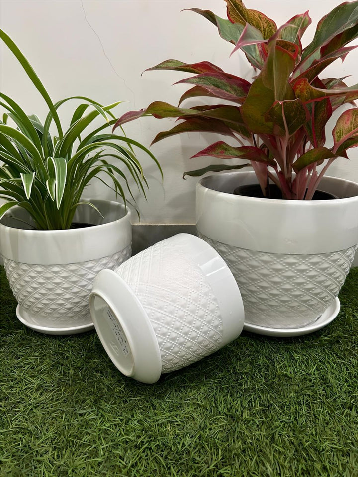 Planter
