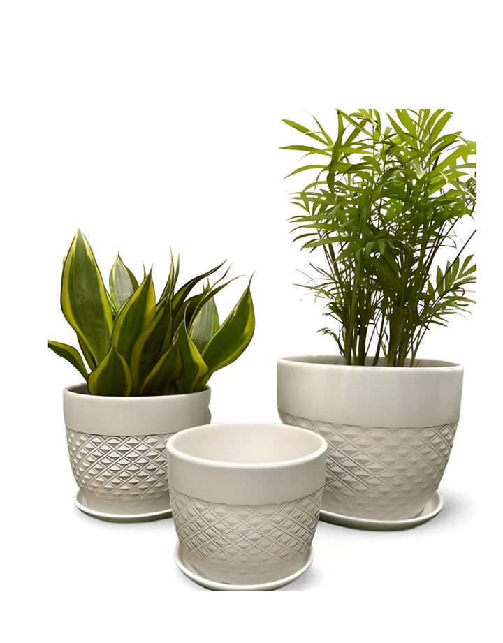 Planter