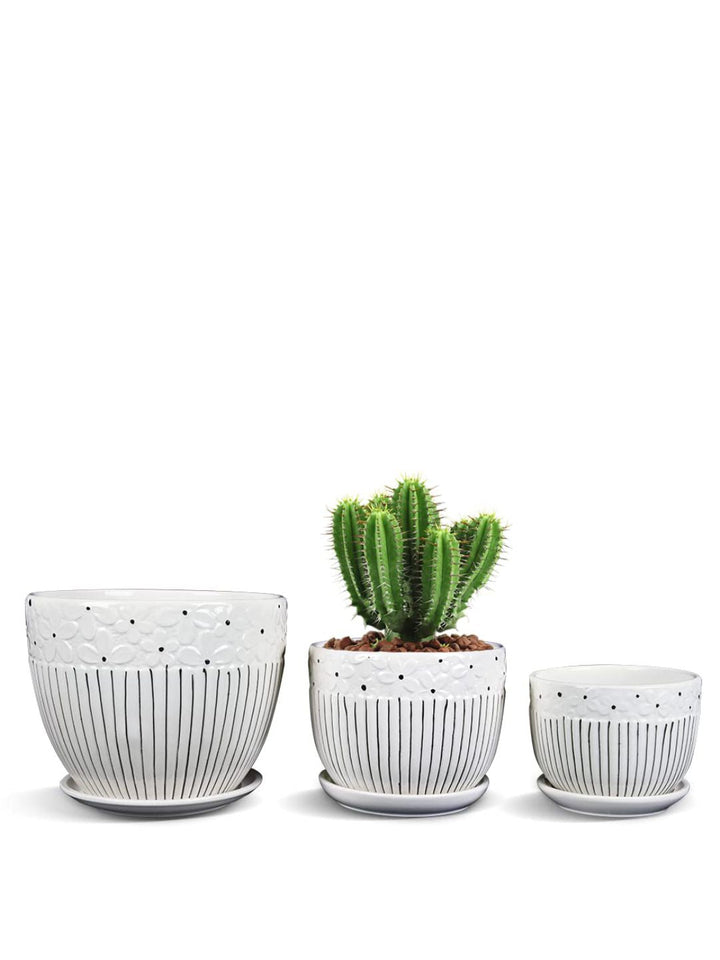 Planter