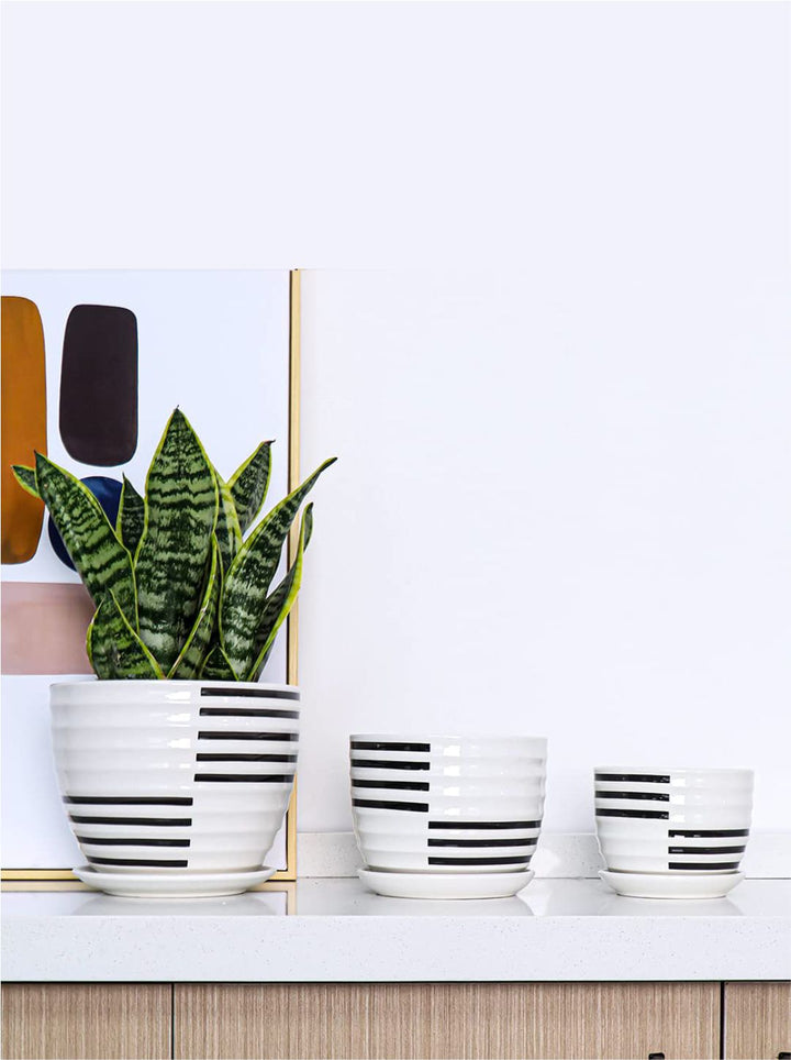 Planter