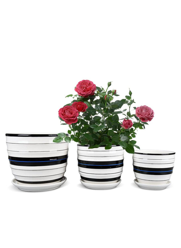 Planter