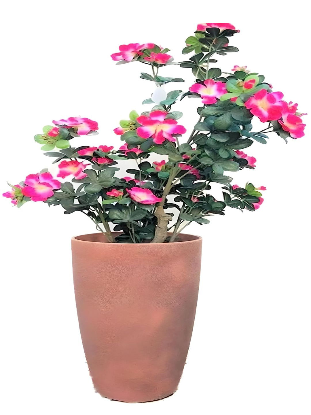 Planter
