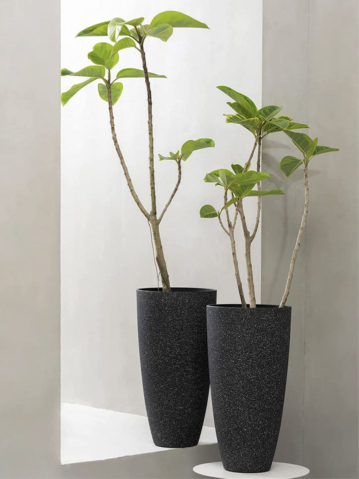 Planter