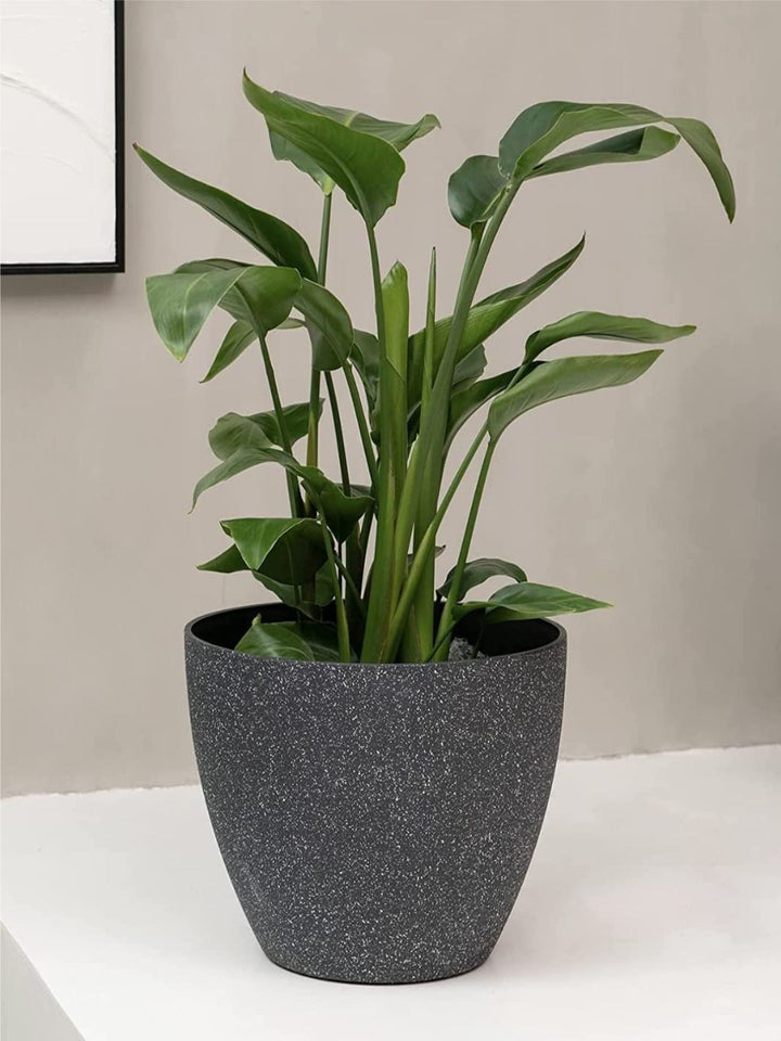 Planter