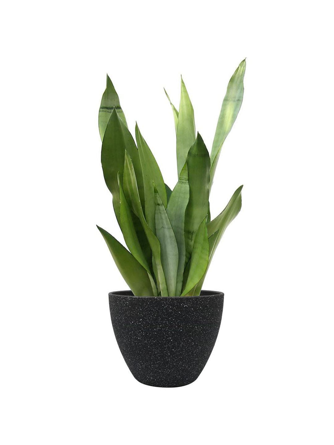 Planter