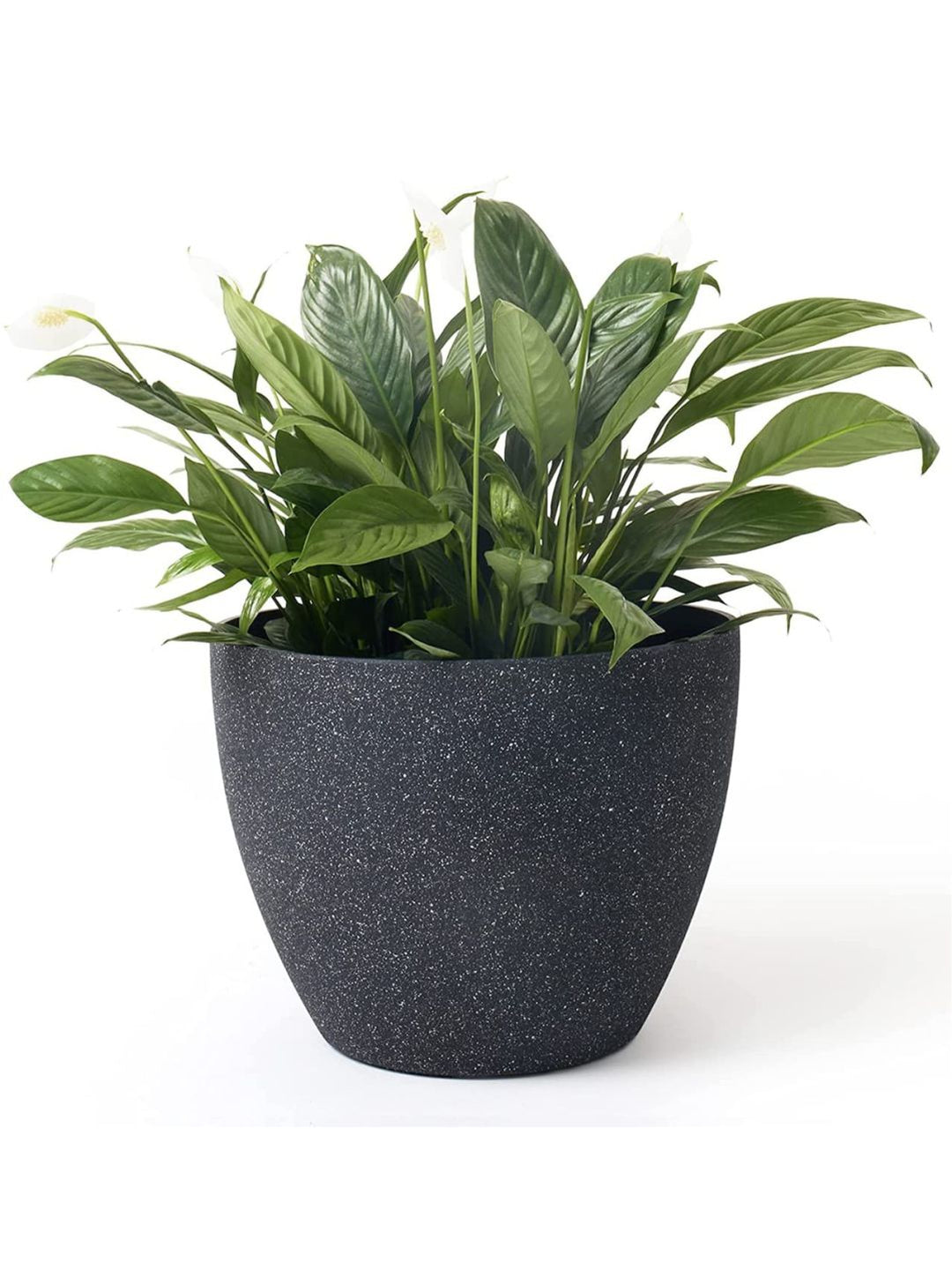 Planter