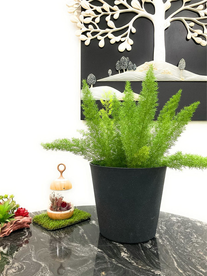 Planter
