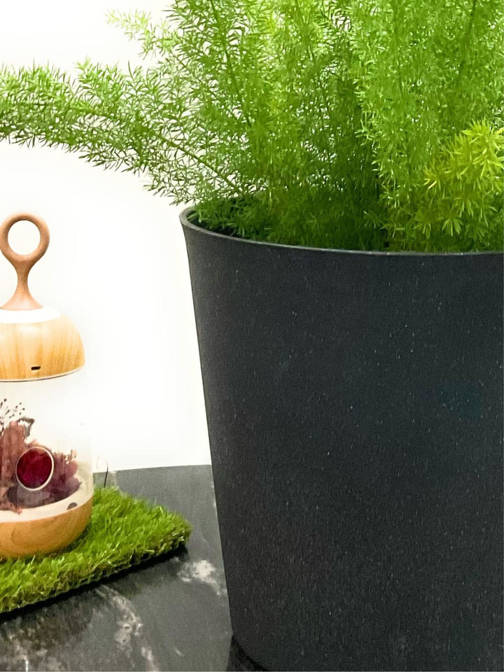 Planter