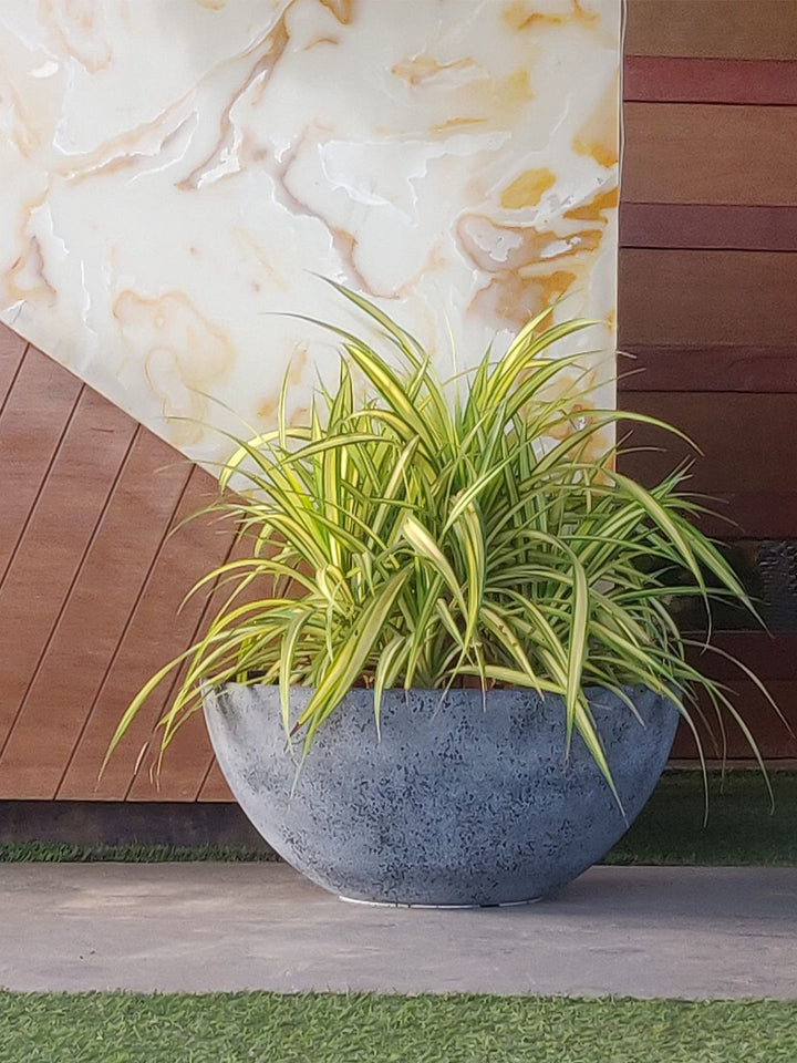 Planter