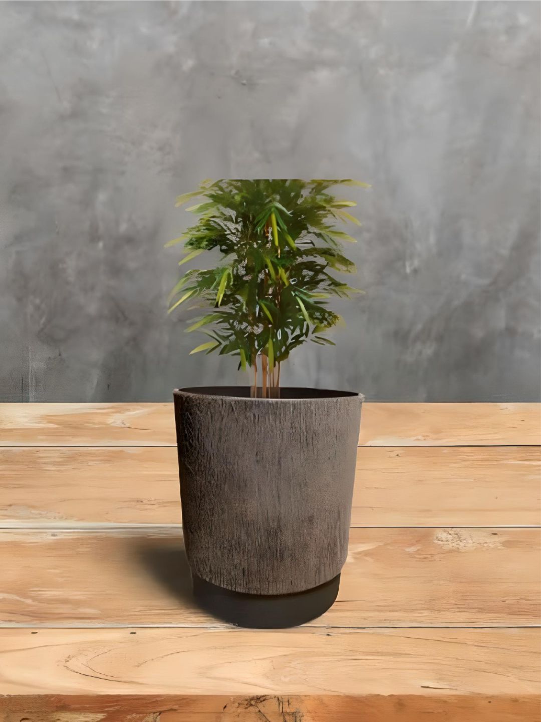 Planter