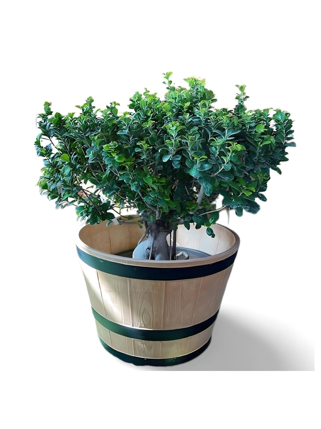 Planter