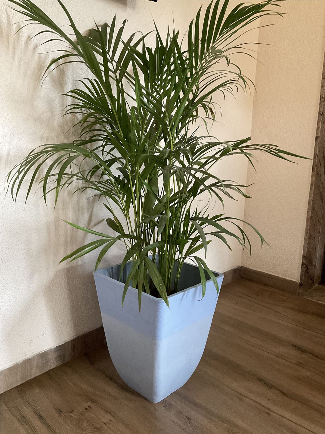 Planter