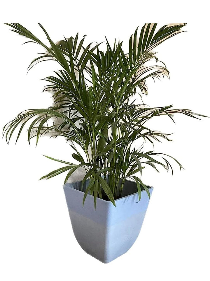 Planter