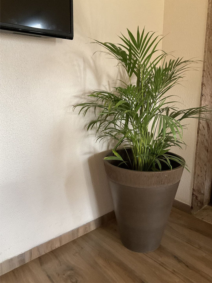Planter