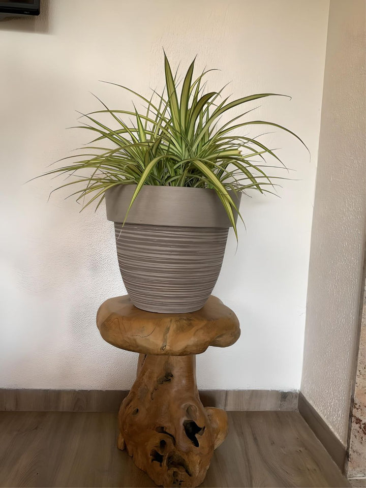 Planter