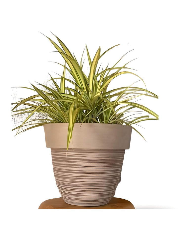 Planter