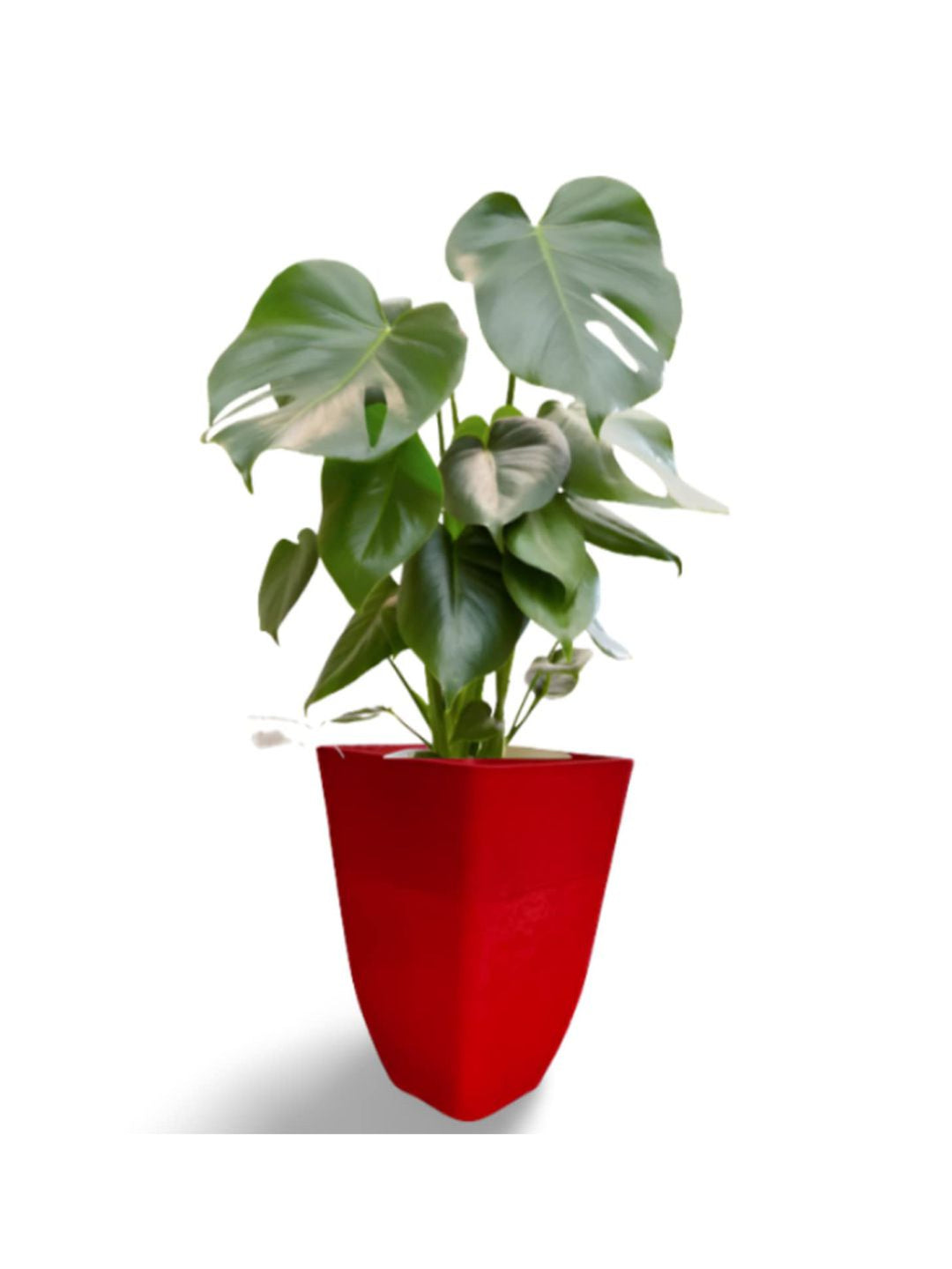 Planter