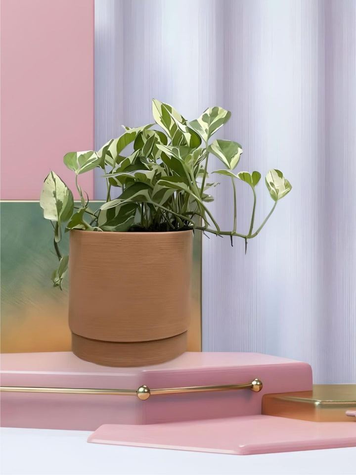 Planter