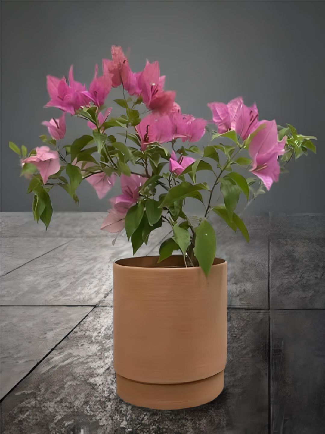 Planter