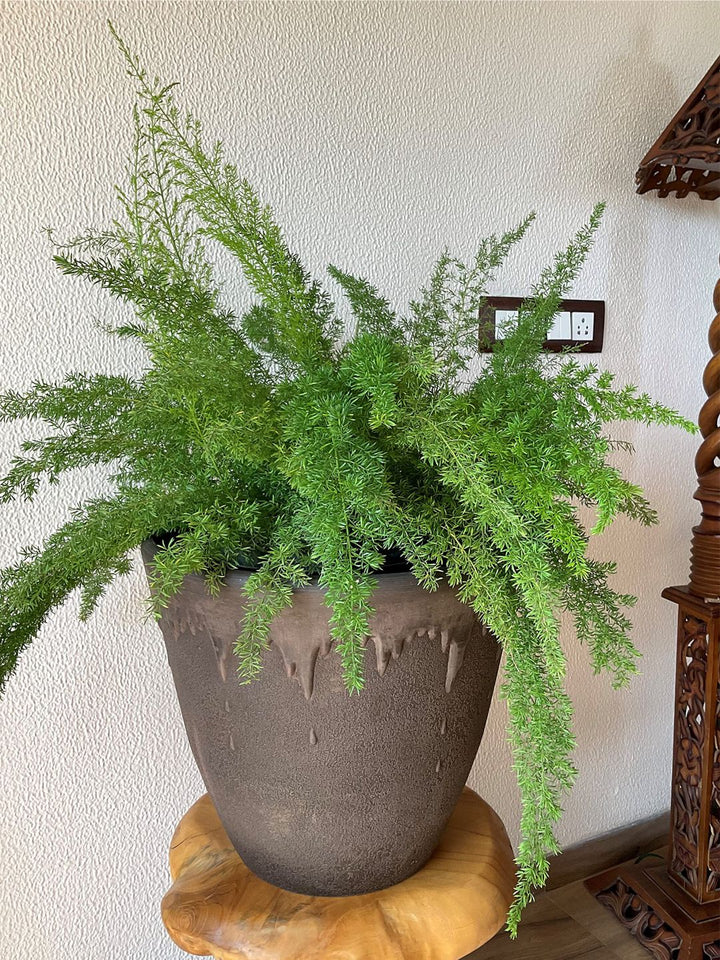 Planter