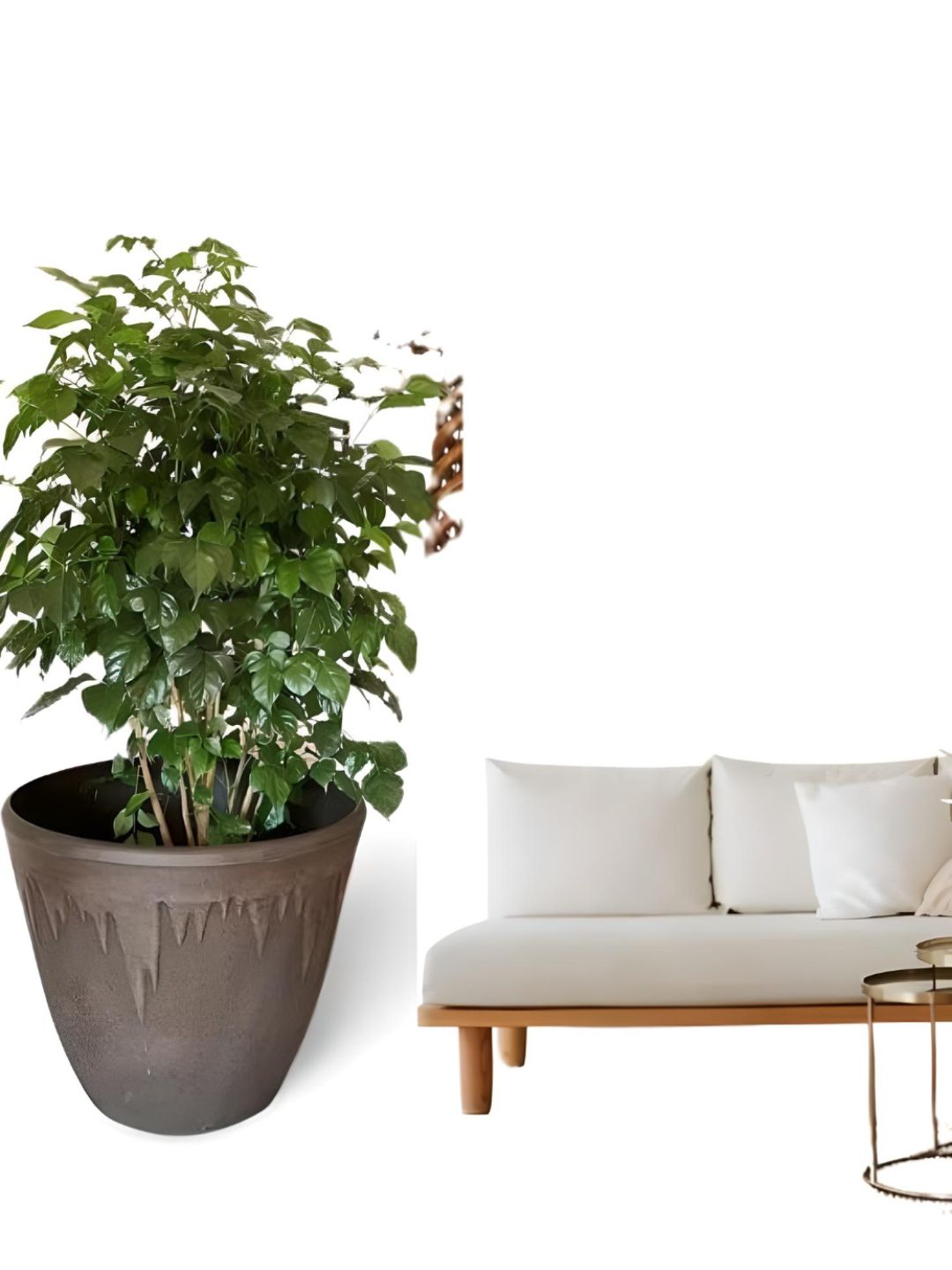 Planter