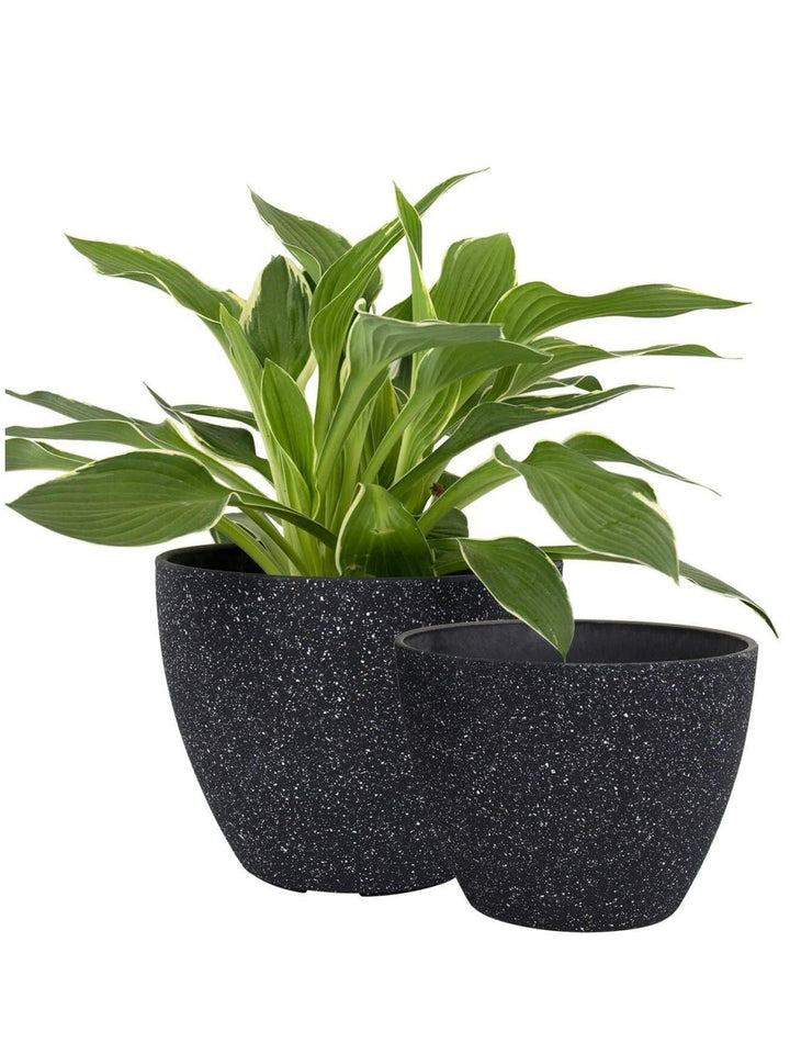 Planter