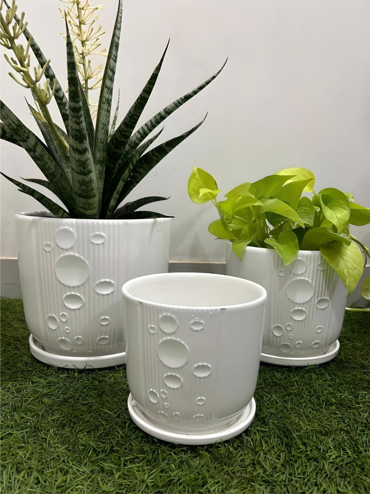 Planter