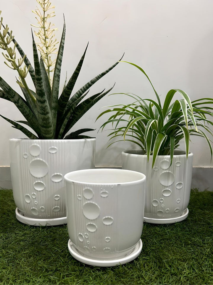 Planter
