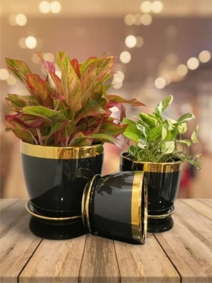 Planter
