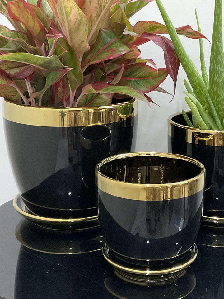 Planter