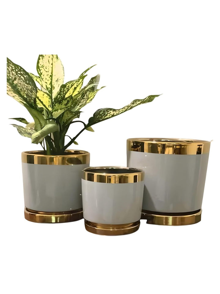 Planter