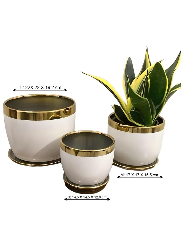 Planter