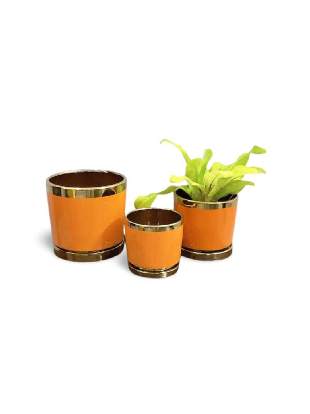 Planter