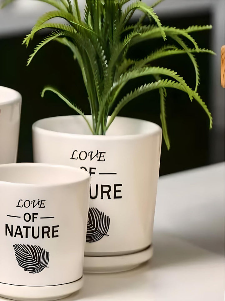 Planter