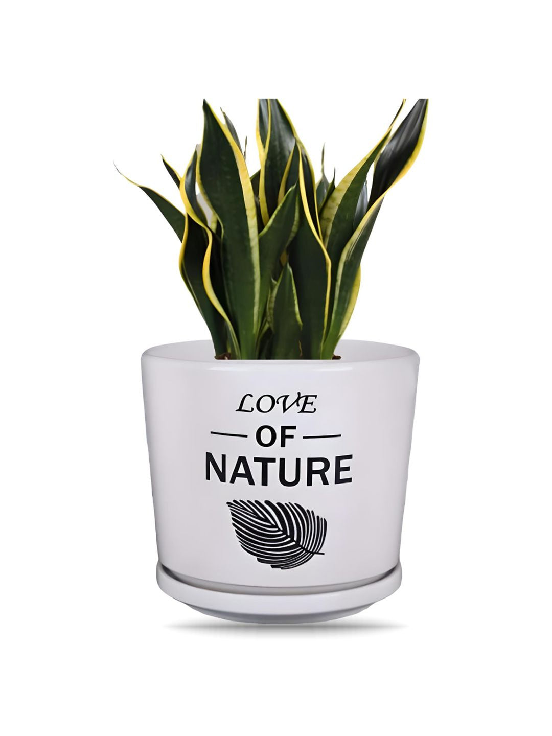 Planter