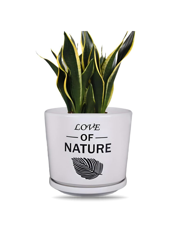 Planter