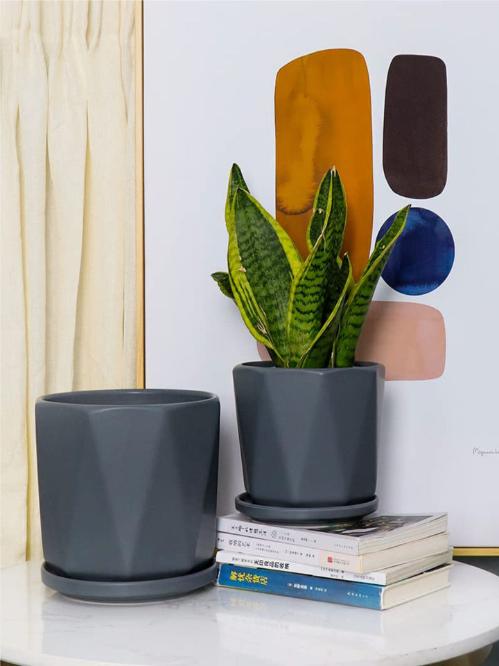 Planter