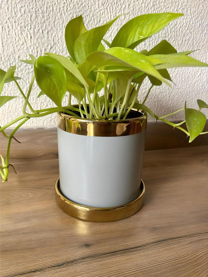 Planter