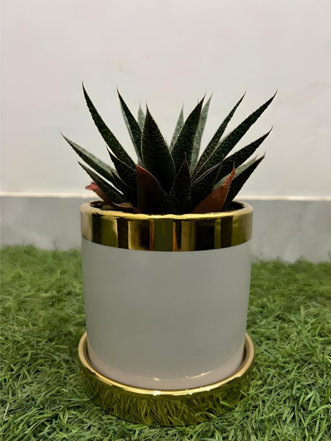 Planter