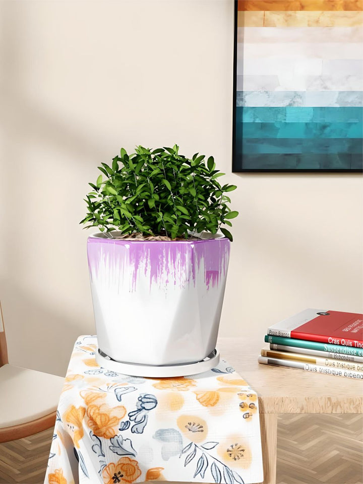 Planter