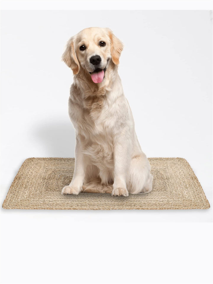 Designer Rugs