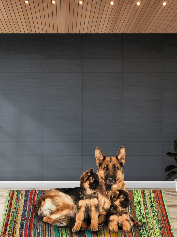 Designer Rugs