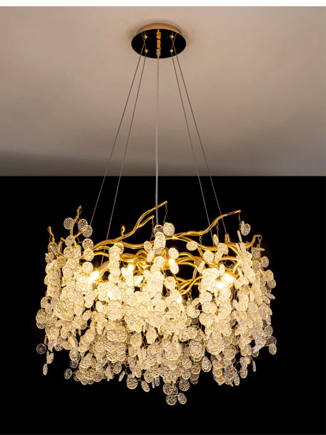 Designer Ceiling Lamps