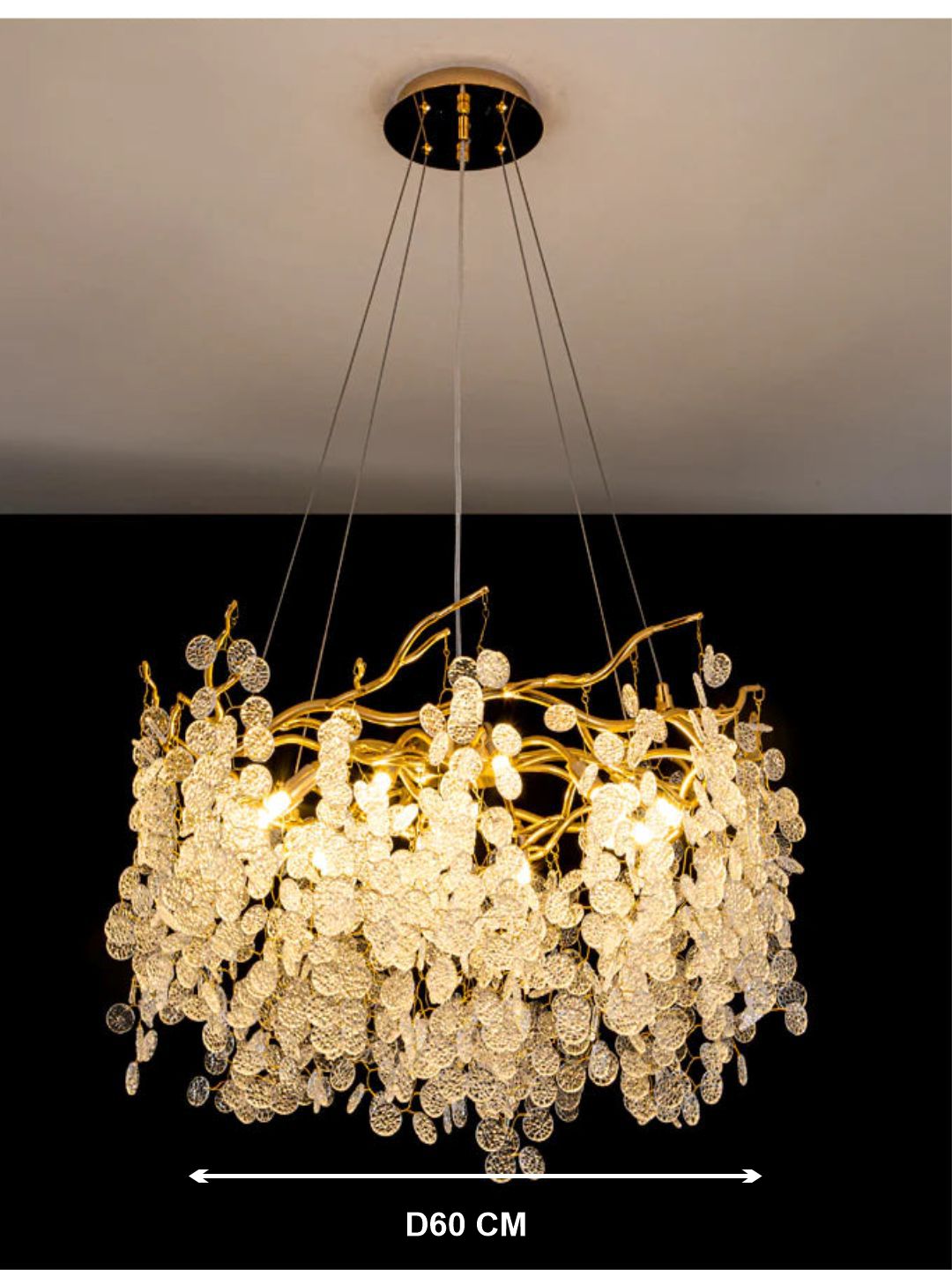 Designer Ceiling Lamps