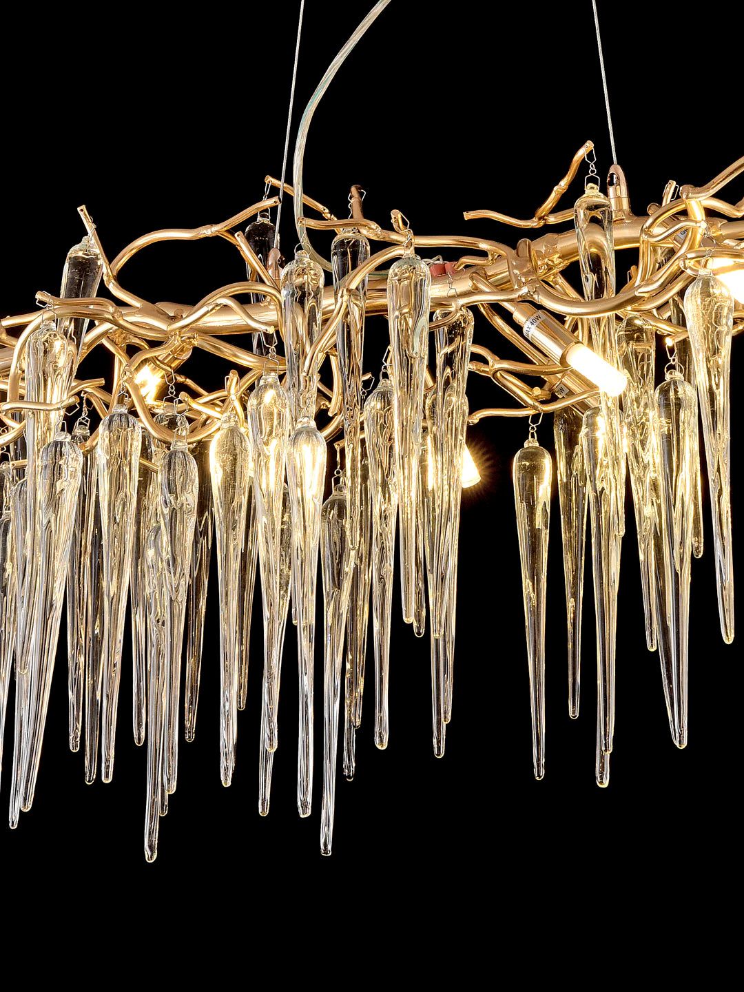 Designer Ceiling Lamps