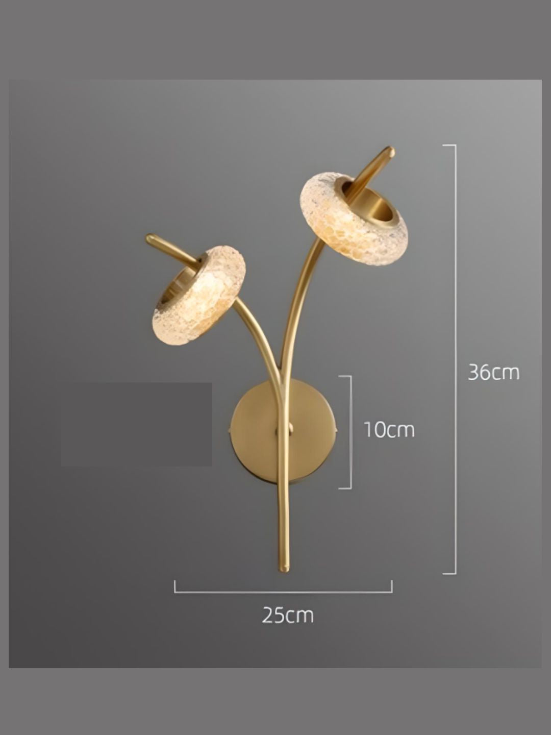 Designer Wall Lamps
